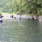 IMGP0807